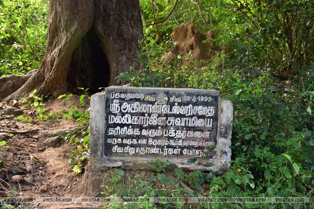 4500 அடி உயரம்; ஆகாயத்தில் ஓர் ஆலயம்! பர்வதமலை என்னும் அதிசயம்; மலைப்பாதையில் ஓர் திரில் பயணம்.. சிறப்பு படத்தொகுப்பு !! படங்கள் : சி.சுரேஷ்குமார் 4500 அடி உயரம்; ஆகாயத்தில் ஓர் ஆலயம்! பர்வதமலை என்னும் அதிசயம்; மலைப்பாதையில் ஓர் திரில் பயணம்.. சிறப்பு படத்தொகுப்பு !! படங்கள் : சி.சுரேஷ்குமார்