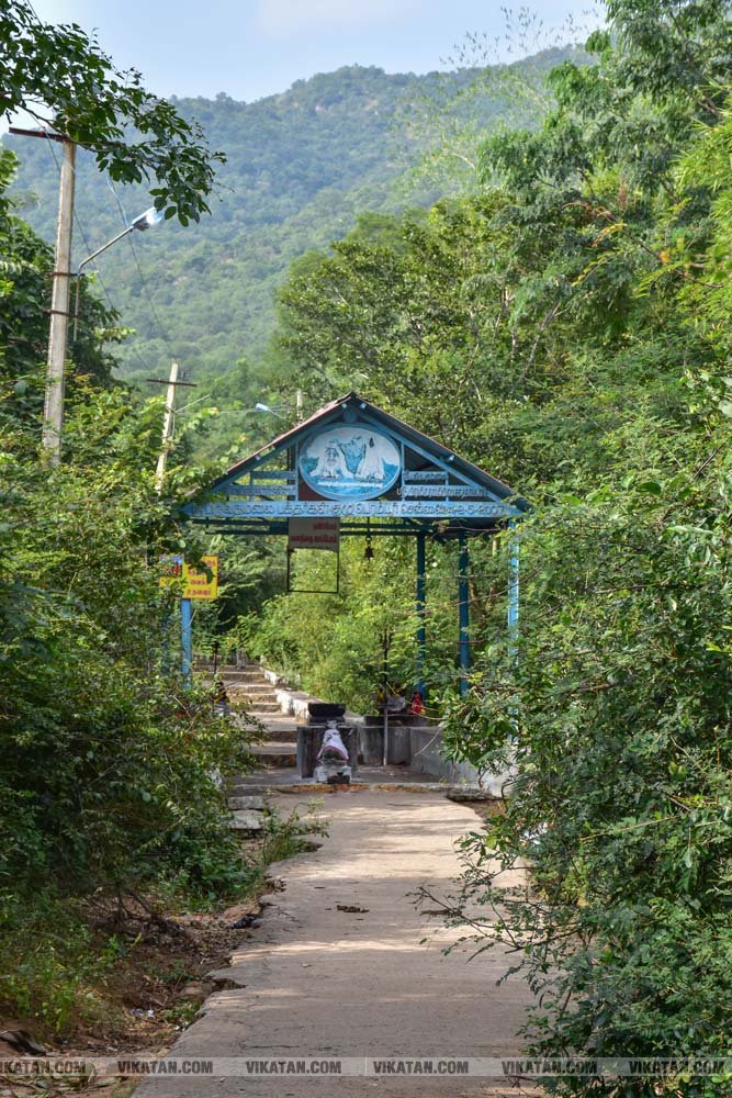 4500 அடி உயரம்; ஆகாயத்தில் ஓர் ஆலயம்! பர்வதமலை என்னும் அதிசயம்; மலைப்பாதையில் ஓர் திரில் பயணம்.. சிறப்பு படத்தொகுப்பு !! படங்கள் : சி.சுரேஷ்குமார் 4500 அடி உயரம்; ஆகாயத்தில் ஓர் ஆலயம்! பர்வதமலை என்னும் அதிசயம்; மலைப்பாதையில் ஓர் திரில் பயணம்.. சிறப்பு படத்தொகுப்பு !! படங்கள் : சி.சுரேஷ்குமார்