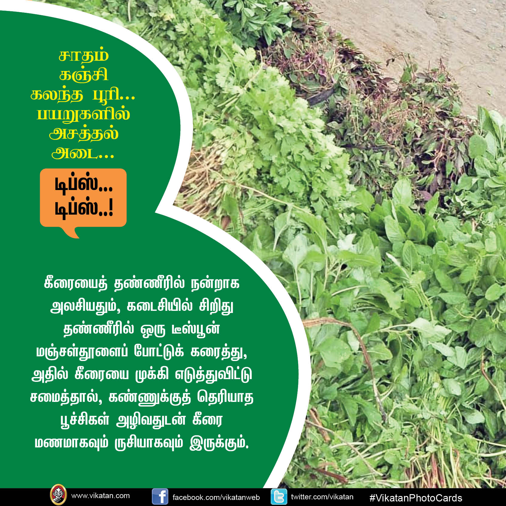 சாதம் கஞ்சி கலந்த பூரி... பயறுகளில் அசத்தல் அடை... டிப்ஸ்.. டிப்ஸ்..! #VikatanPhotoCards சாதம் கஞ்சி கலந்த பூரி... பயறுகளில் அசத்தல் அடை... டிப்ஸ்.. டிப்ஸ்..! #VikatanPhotoCards