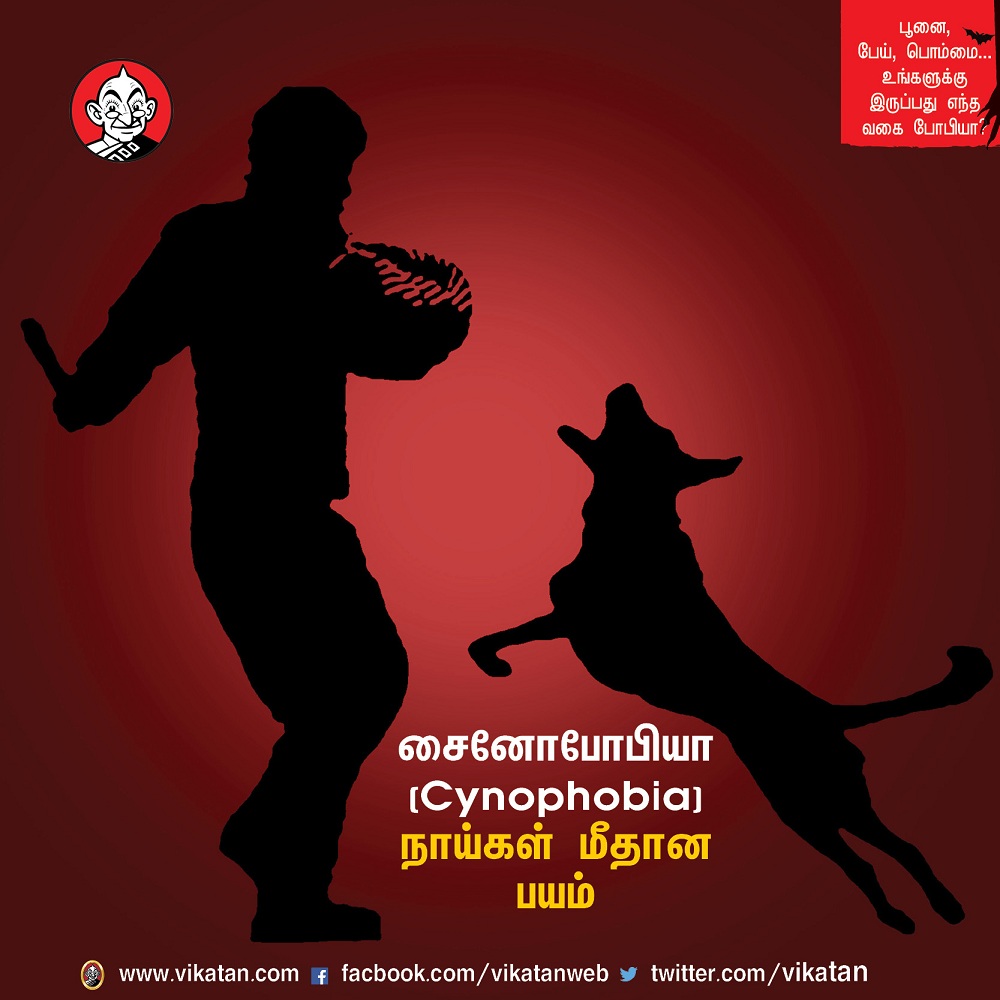 பூனை, பேய், பொம்மை... உங்களுக்கு இருப்பது எந்த வகை போபியா? #VikatanPhotoCards-தொகுப்பு : பெ.மதலை ஆரோன் பூனை, பேய், பொம்மை... உங்களுக்கு இருப்பது எந்த வகை போபியா? #VikatanPhotoCards-தொகுப்பு : பெ.மதலை ஆரோன்