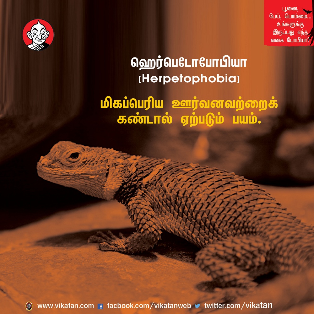 பூனை, பேய், பொம்மை... உங்களுக்கு இருப்பது எந்த வகை போபியா? #VikatanPhotoCards-தொகுப்பு : பெ.மதலை ஆரோன் பூனை, பேய், பொம்மை... உங்களுக்கு இருப்பது எந்த வகை போபியா? #VikatanPhotoCards-தொகுப்பு : பெ.மதலை ஆரோன்