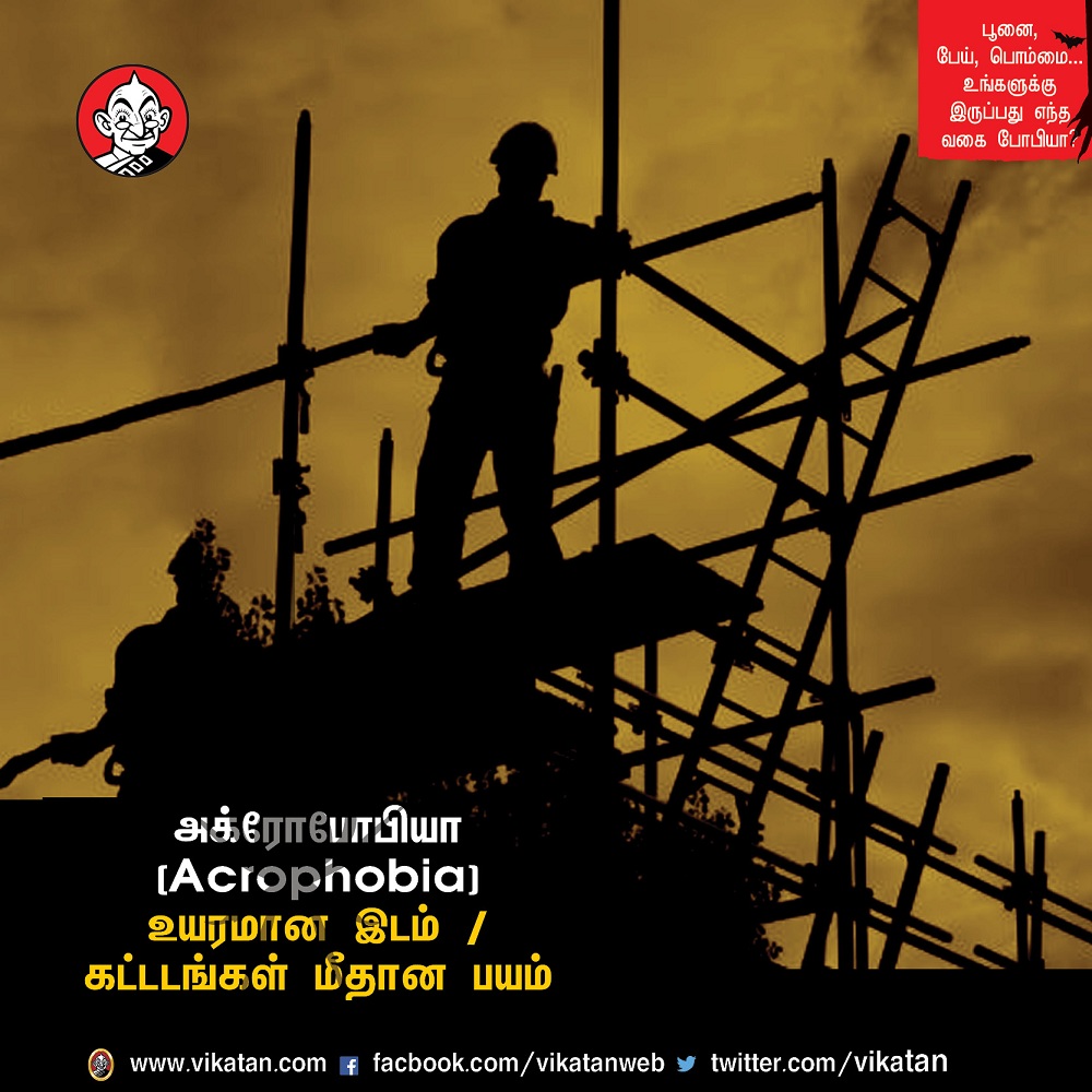 பூனை, பேய், பொம்மை... உங்களுக்கு இருப்பது எந்த வகை போபியா? #VikatanPhotoCards-தொகுப்பு : பெ.மதலை ஆரோன் பூனை, பேய், பொம்மை... உங்களுக்கு இருப்பது எந்த வகை போபியா? #VikatanPhotoCards-தொகுப்பு : பெ.மதலை ஆரோன்