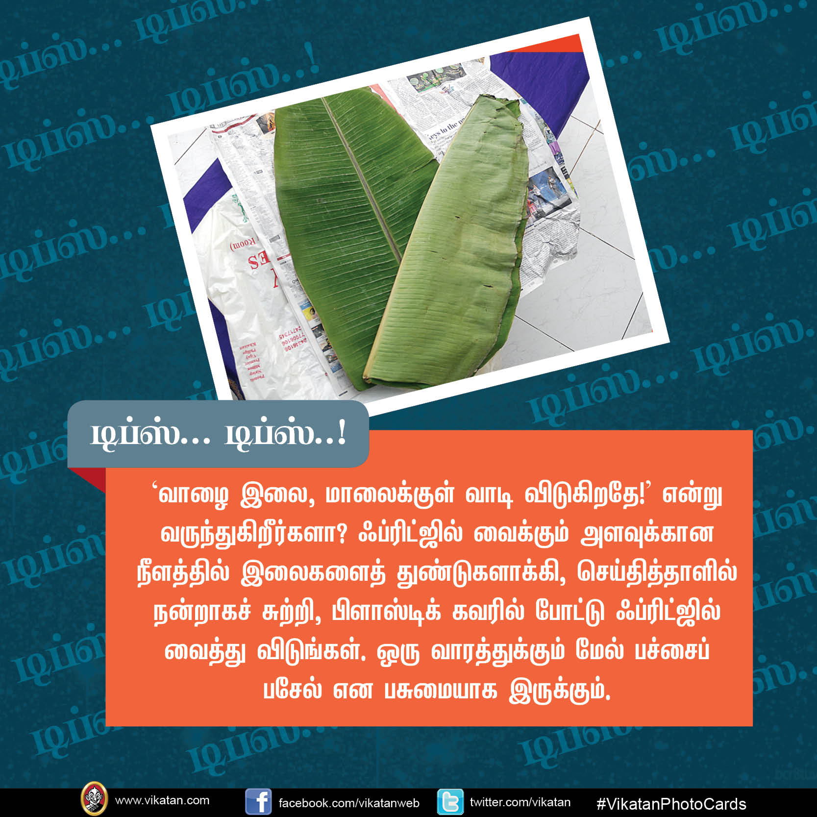 சுலபமாக தக்காளி தொக்கு செய்ய.. வாழை இலை வாடாமல் இருக்க.. டிப்ஸ்..டிப்ஸ்..! #VikatanPhotoCards சுலபமாக தக்காளி தொக்கு செய்ய.. வாழை இலை வாடாமல் இருக்க.. டிப்ஸ்..டிப்ஸ்..! #VikatanPhotoCards