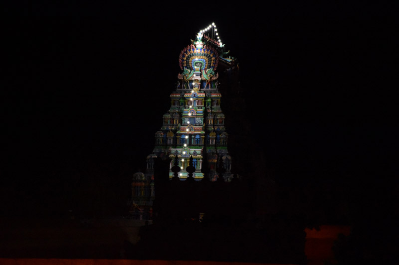 திருவாரூர் தியாகராஜர் கோயில் கமலாம்பாள் சுவாமி ஆடிப்பூரம் தேரோட்டம் படங்கள்: ர.கண்ணன் திருவாரூர் தியாகராஜர் கோயில் கமலாம்பாள் சுவாமி ஆடிப்பூரம் தேரோட்டம் படங்கள்: ர.கண்ணன்