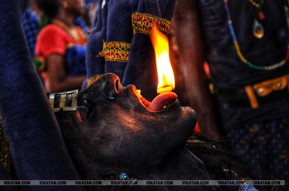 குலசேகரப்பட்டினம் முத்தாரம்மன் கோயில் தசரா திருவிழா... சிறப்பு புகைப்பட தொகுப்பு குலசேகரப்பட்டினம் முத்தாரம்மன் கோயில் தசரா திருவிழா... சிறப்பு புகைப்பட தொகுப்பு