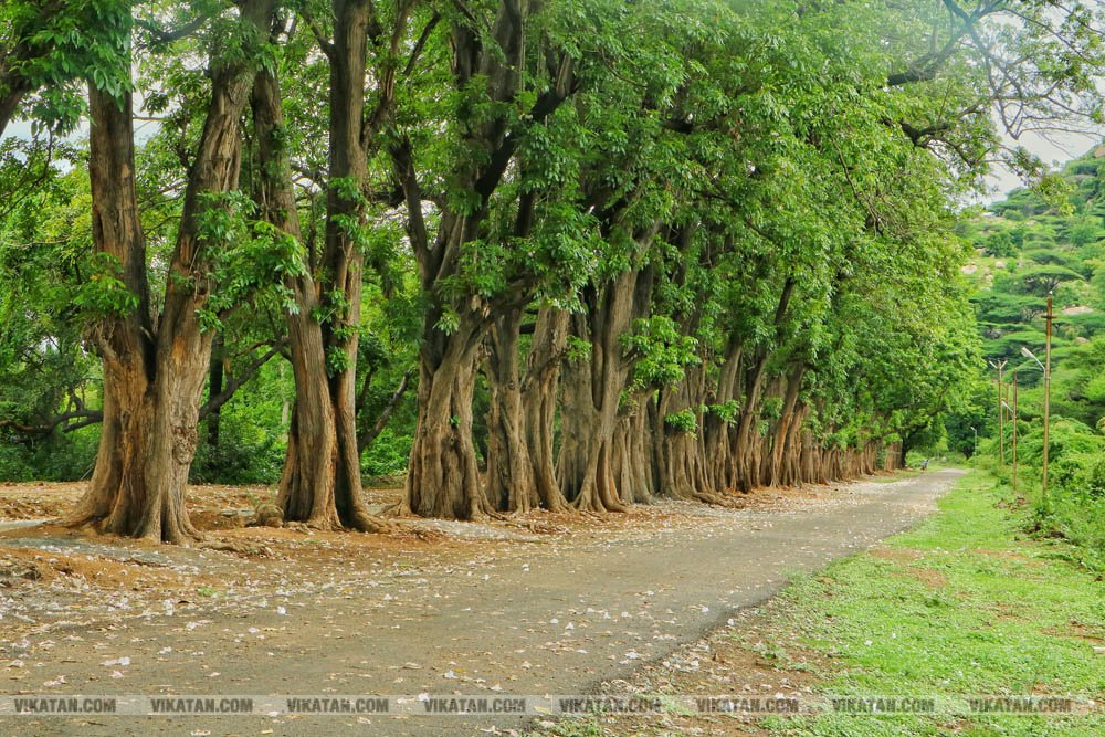 கிருஷ்ணகிரி கே.ஆர்.பி. அணை ஸ்பாட் விசிட்... படங்கள்: வ.யஷ்வந்த் கிருஷ்ணகிரி கே.ஆர்.பி. அணை ஸ்பாட் விசிட்... படங்கள்: வ.யஷ்வந்த்