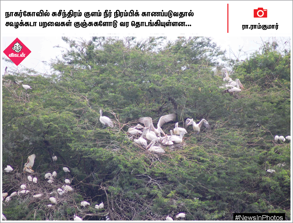 மேகதாது அணை கட்டுமானத்தை எதிர்க்கும் மு.க.ஸ்டாலின்... ஸ்டெர்லைட் ஆலைகோரும் பொதுமக்கள்... #NewsInPhotos மேகதாது அணை கட்டுமானத்தை எதிர்க்கும் மு.க.ஸ்டாலின்... ஸ்டெர்லைட் ஆலைகோரும் பொதுமக்கள்... #NewsInPhotos