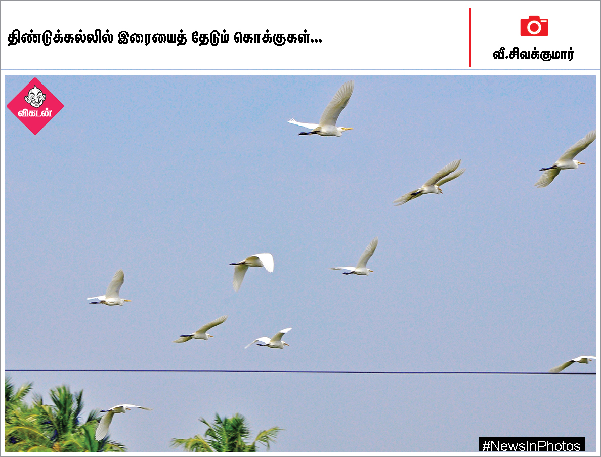 மேகதாது அணை கட்டுமானத்தை எதிர்க்கும் மு.க.ஸ்டாலின்... ஸ்டெர்லைட் ஆலைகோரும் பொதுமக்கள்... #NewsInPhotos மேகதாது அணை கட்டுமானத்தை எதிர்க்கும் மு.க.ஸ்டாலின்... ஸ்டெர்லைட் ஆலைகோரும் பொதுமக்கள்... #NewsInPhotos