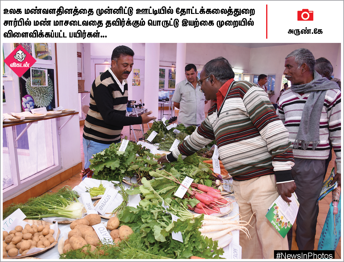 ஜெயலலிதாவின் 2ஆம் ஆண்டு நினைவுதினம்... கின்னஸ் சாதனை முயற்சியில் தவில் வித்வான்... #NewsInPhotos ஜெயலலிதாவின் 2ஆம் ஆண்டு நினைவுதினம்... கின்னஸ் சாதனை முயற்சியில் தவில் வித்வான்... #NewsInPhotos