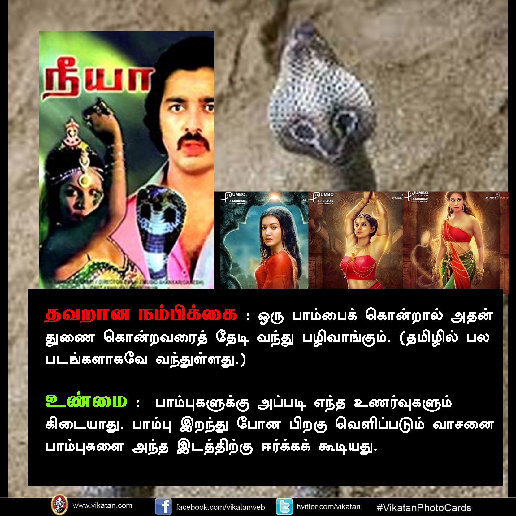 பாலும் குடிக்காது; முட்டையும் பிடிக்காது... பாம்பு குறித்த வதந்திகள்! #VikatanPhotoCards பாலும் குடிக்காது; முட்டையும் பிடிக்காது... பாம்பு குறித்த வதந்திகள்! #VikatanPhotoCards