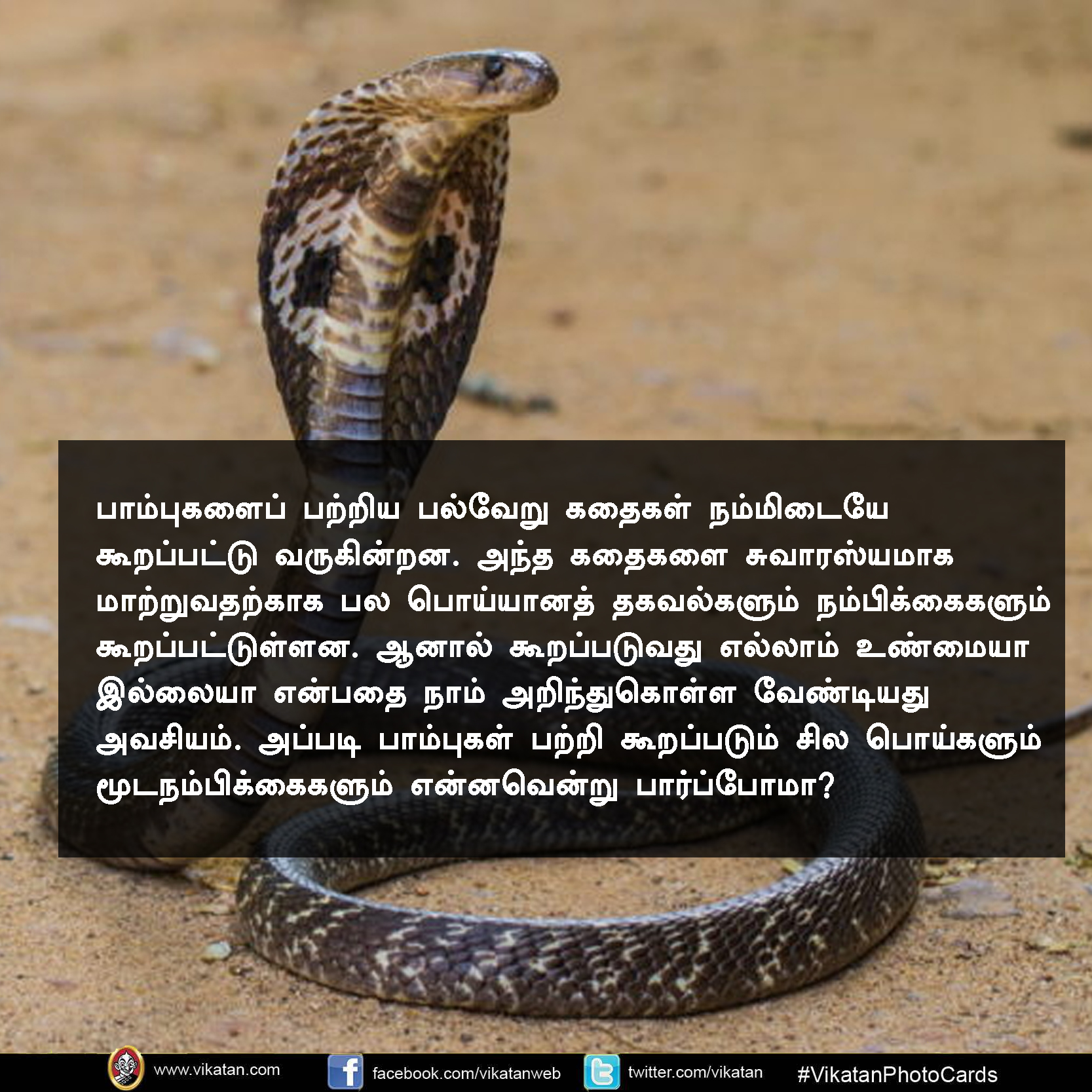 பாலும் குடிக்காது; முட்டையும் பிடிக்காது... பாம்பு குறித்த வதந்திகள்! #VikatanPhotoCards பாலும் குடிக்காது; முட்டையும் பிடிக்காது... பாம்பு குறித்த வதந்திகள்! #VikatanPhotoCards