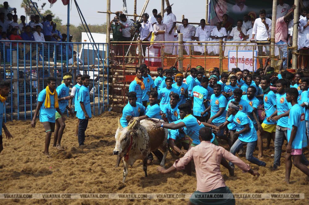 மகாசிவராத்திரியை முன்னிட்டு குமாரபாளையத்தில் நடைபெற்ற ஜல்லிக்கட்டுப் போட்டி! படங்கள்: சுபாஷ் ம நா மகாசிவராத்திரியை முன்னிட்டு குமாரபாளையத்தில் நடைபெற்ற ஜல்லிக்கட்டுப் போட்டி! படங்கள்: சுபாஷ் ம நா