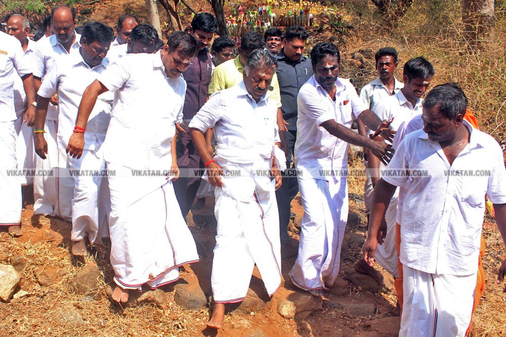 வேண்டுதல், பிரசாரம் முதல் வேட்புமனுத் தாக்கல் வரை.... கலகல எலெக்ஷன் போட்டோ கலெக்ஷன்ஸ்! வேண்டுதல், பிரசாரம் முதல் வேட்புமனுத் தாக்கல் வரை.... கலகல எலெக்ஷன் போட்டோ கலெக்ஷன்ஸ்!