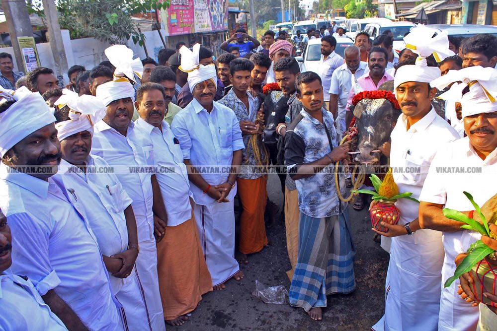 வேண்டுதல், பிரசாரம் முதல் வேட்புமனுத் தாக்கல் வரை.... கலகல எலெக்ஷன் போட்டோ கலெக்ஷன்ஸ்! வேண்டுதல், பிரசாரம் முதல் வேட்புமனுத் தாக்கல் வரை.... கலகல எலெக்ஷன் போட்டோ கலெக்ஷன்ஸ்!