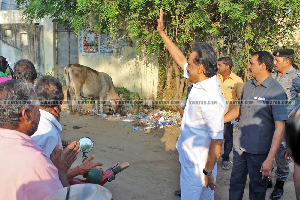 வேண்டுதல், பிரசாரம் முதல் வேட்புமனுத் தாக்கல் வரை.... கலகல எலெக்ஷன் போட்டோ கலெக்ஷன்ஸ்! வேண்டுதல், பிரசாரம் முதல் வேட்புமனுத் தாக்கல் வரை.... கலகல எலெக்ஷன் போட்டோ கலெக்ஷன்ஸ்!