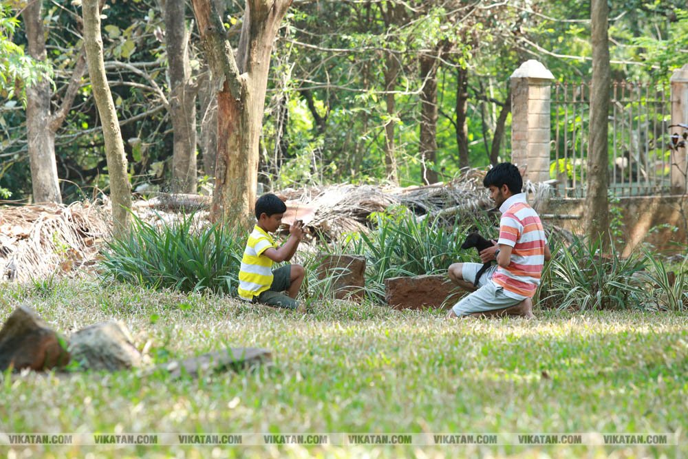 ஏலகிரியில் உள்ள இயற்கைப் பூங்காவை சுற்றிப்பார்க்கலாம் வாங்க... படங்கள்: பிரபாகரன் செ ஏலகிரியில் உள்ள இயற்கைப் பூங்காவை சுற்றிப்பார்க்கலாம் வாங்க... படங்கள்: பிரபாகரன் செ
