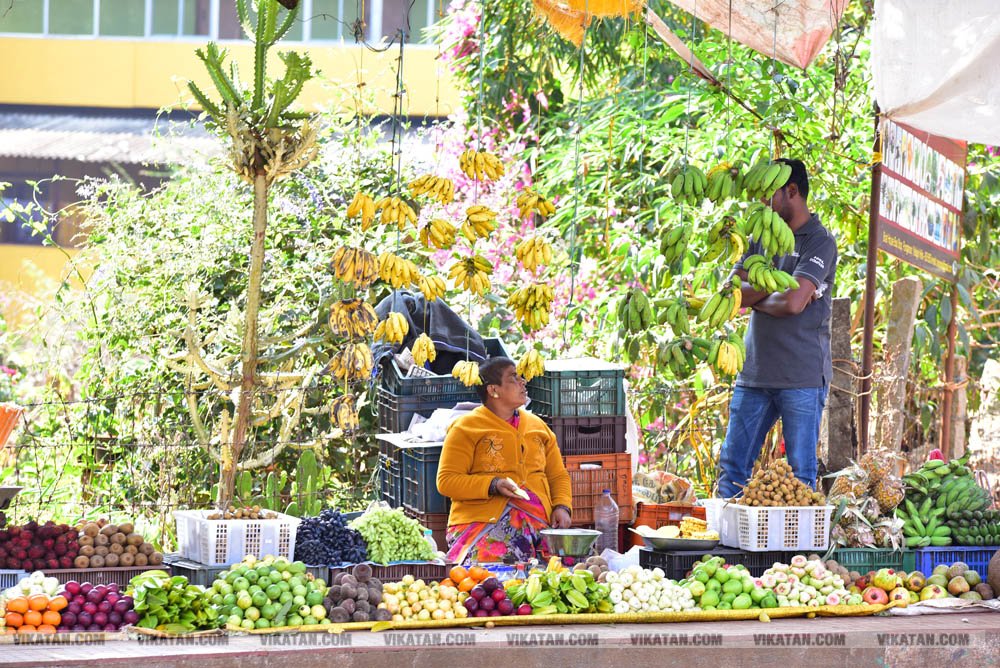 ஏலகிரியில் உள்ள இயற்கைப் பூங்காவை சுற்றிப்பார்க்கலாம் வாங்க... படங்கள்: பிரபாகரன் செ ஏலகிரியில் உள்ள இயற்கைப் பூங்காவை சுற்றிப்பார்க்கலாம் வாங்க... படங்கள்: பிரபாகரன் செ