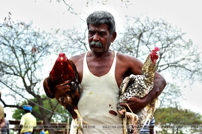 கரூர் பூலாம்வலசு சேவகட்டு விழா... கரூர் பூலாம்வலசு சேவகட்டு விழா...