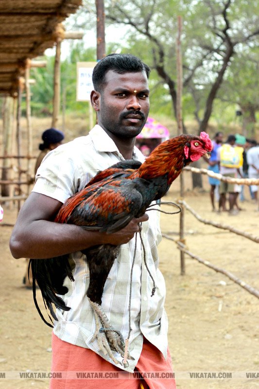 கரூர் பூலாம்வலசு சேவகட்டு விழா... கரூர் பூலாம்வலசு சேவகட்டு விழா...