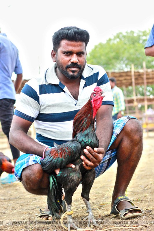 கரூர் பூலாம்வலசு சேவகட்டு விழா... கரூர் பூலாம்வலசு சேவகட்டு விழா...