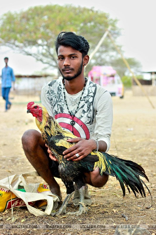 கரூர் பூலாம்வலசு சேவகட்டு விழா... கரூர் பூலாம்வலசு சேவகட்டு விழா...