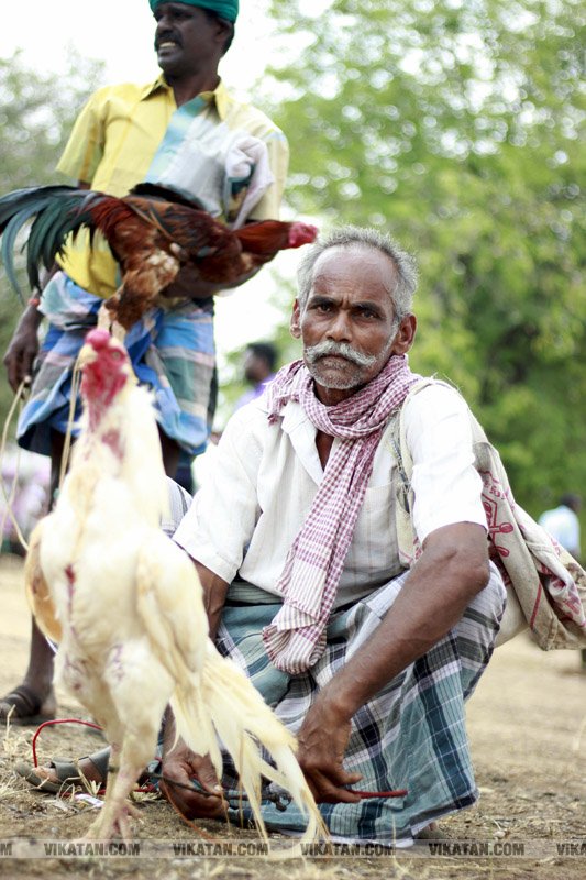 கரூர் பூலாம்வலசு சேவகட்டு விழா... கரூர் பூலாம்வலசு சேவகட்டு விழா...
