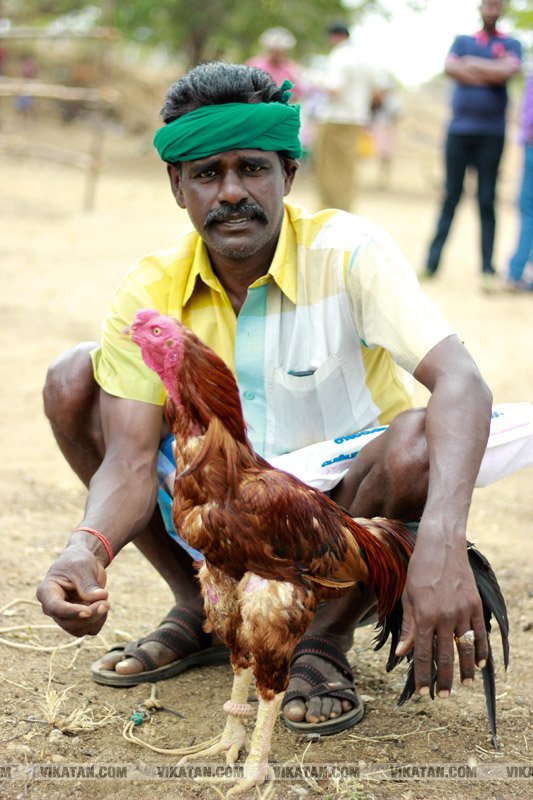 கரூர் பூலாம்வலசு சேவகட்டு விழா... கரூர் பூலாம்வலசு சேவகட்டு விழா...