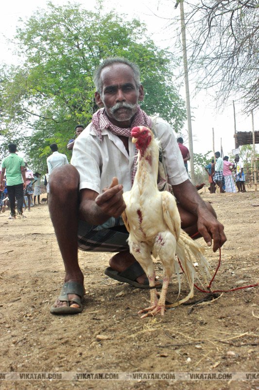 கரூர் பூலாம்வலசு சேவகட்டு விழா... கரூர் பூலாம்வலசு சேவகட்டு விழா...