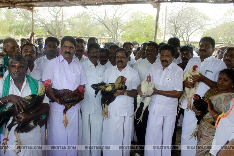 கரூர் பூலாம்வலசு சேவகட்டு விழா... கரூர் பூலாம்வலசு சேவகட்டு விழா...