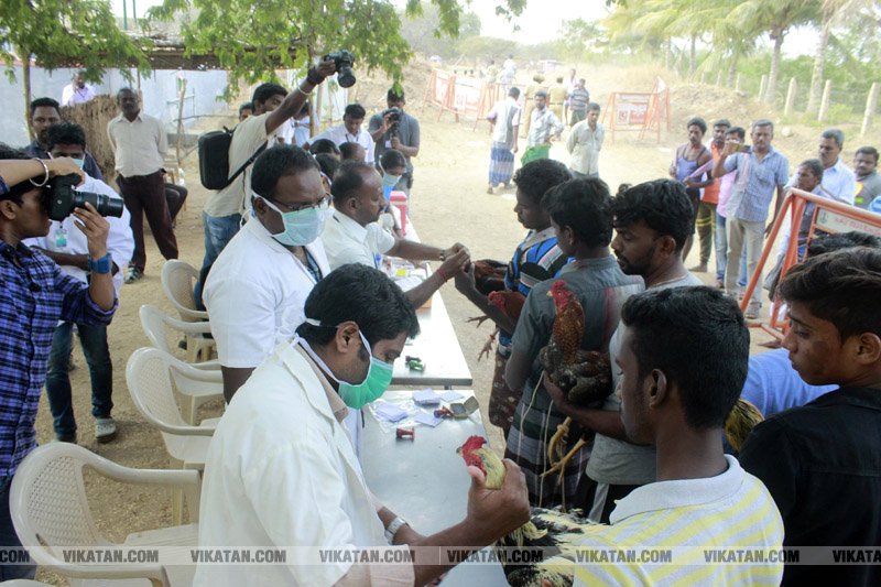 கரூர் பூலாம்வலசு சேவகட்டு விழா... கரூர் பூலாம்வலசு சேவகட்டு விழா...