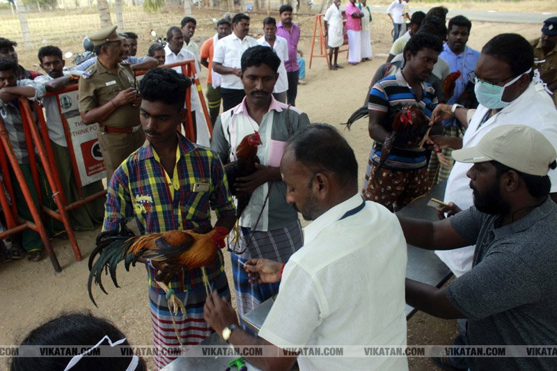 கரூர் பூலாம்வலசு சேவகட்டு விழா... கரூர் பூலாம்வலசு சேவகட்டு விழா...