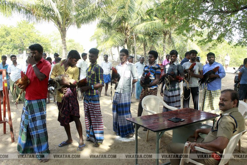 கரூர் பூலாம்வலசு சேவகட்டு விழா... கரூர் பூலாம்வலசு சேவகட்டு விழா...