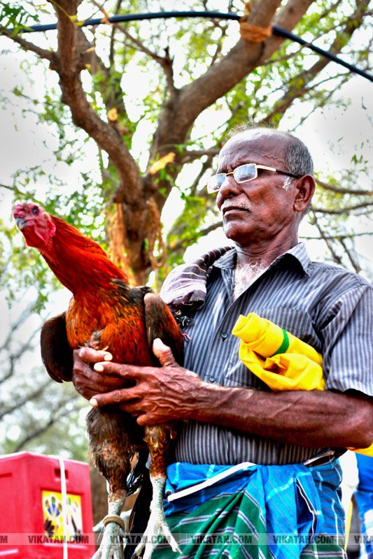 கரூர் பூலாம்வலசு சேவகட்டு விழா... கரூர் பூலாம்வலசு சேவகட்டு விழா...