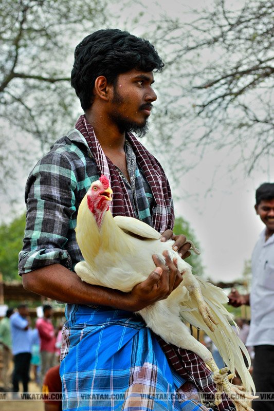 கரூர் பூலாம்வலசு சேவகட்டு விழா... கரூர் பூலாம்வலசு சேவகட்டு விழா...