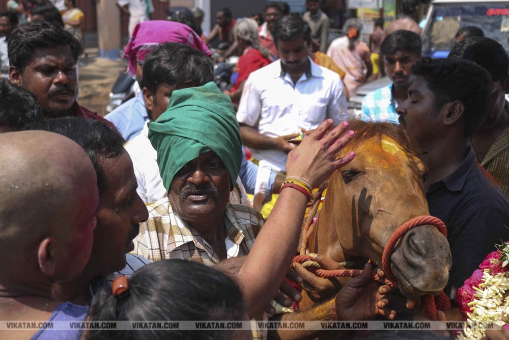 பவானி செல்லியாண்டியம்மன் மாசி திருவிழா சேற்று வேசம்! பவானி செல்லியாண்டியம்மன் மாசி திருவிழா சேற்று வேசம்!
