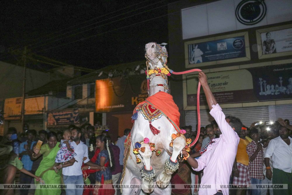 பவானி செல்லியாண்டியம்மன் மாசி திருவிழா சேற்று வேசம்! பவானி செல்லியாண்டியம்மன் மாசி திருவிழா சேற்று வேசம்!