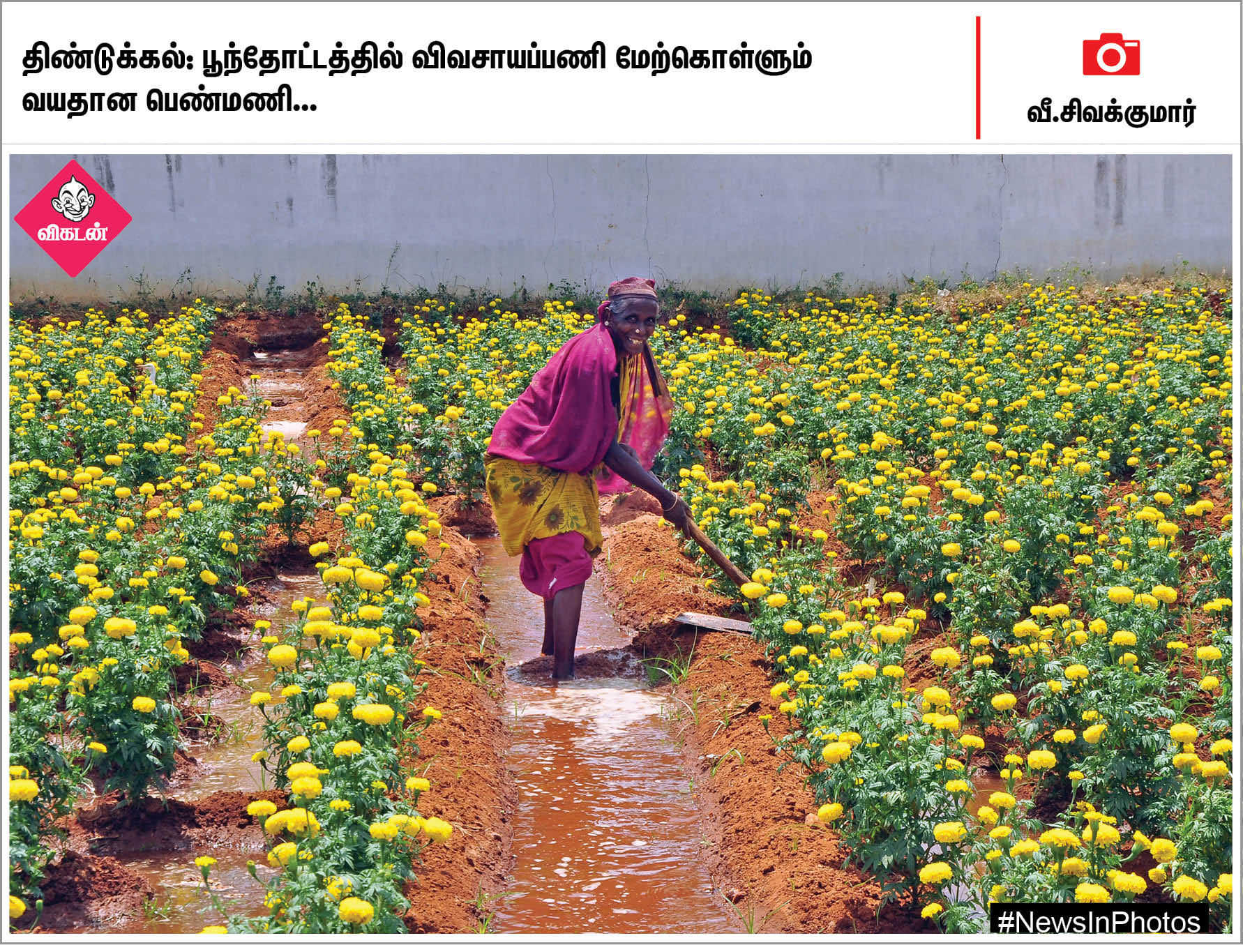 வாக்களிப்பதை வலியுறுத்தும் மணற்சிற்பம்... சில்வர் கடற்கரைக்கு வந்த பறக்கும் கப்பல்... #NewsInPhotos வாக்களிப்பதை வலியுறுத்தும் மணற்சிற்பம்... சில்வர் கடற்கரைக்கு வந்த பறக்கும் கப்பல்... #NewsInPhotos