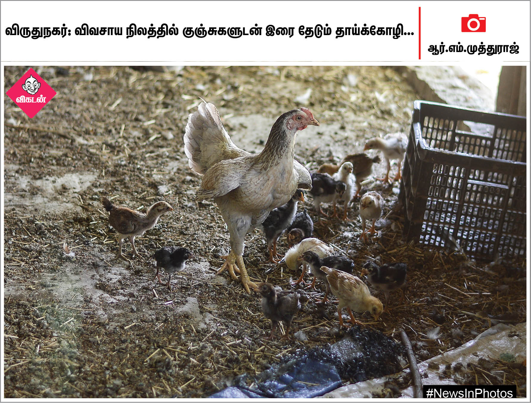 வாக்களிப்பதை வலியுறுத்தும் மணற்சிற்பம்... சில்வர் கடற்கரைக்கு வந்த பறக்கும் கப்பல்... #NewsInPhotos வாக்களிப்பதை வலியுறுத்தும் மணற்சிற்பம்... சில்வர் கடற்கரைக்கு வந்த பறக்கும் கப்பல்... #NewsInPhotos