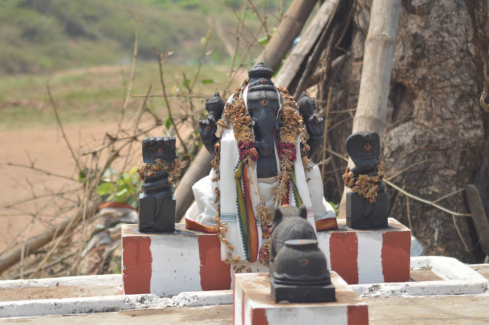 #பார்க்கரசிக்க சுற்றுலா பயணிகளை மகிழ்விக்கும் டாப்சிலிப்... #பார்க்கரசிக்க சுற்றுலா பயணிகளை மகிழ்விக்கும் டாப்சிலிப்...