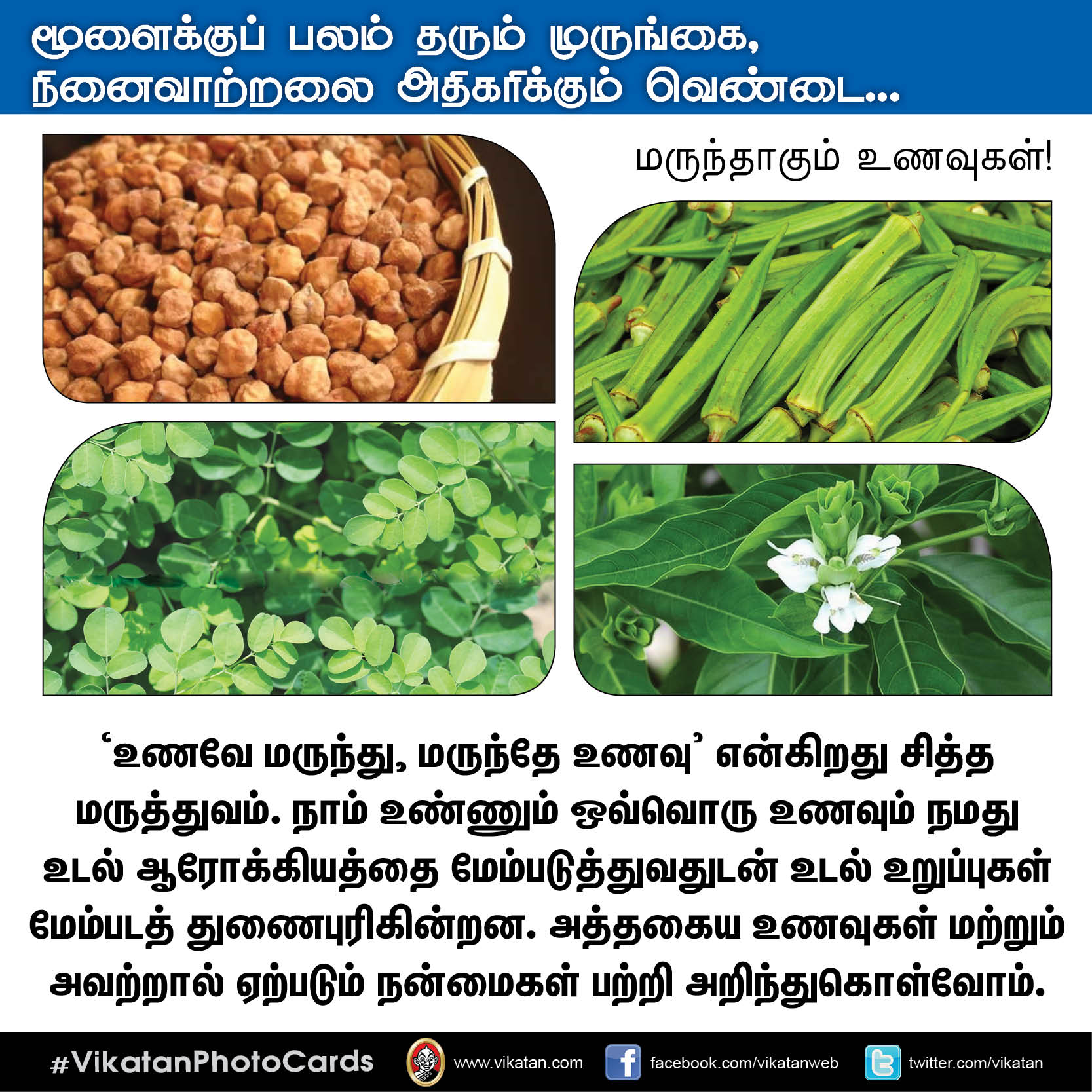 பசியின்மை போக்கும் கத்திரி, நினைவாற்றல் அதிகரிக்கும் வெண்டை... மருந்தாகும் காய்கறிகள்! #VikatanPhotoCards பசியின்மை போக்கும் கத்திரி, நினைவாற்றல் அதிகரிக்கும் வெண்டை... மருந்தாகும் காய்கறிகள்! #VikatanPhotoCards