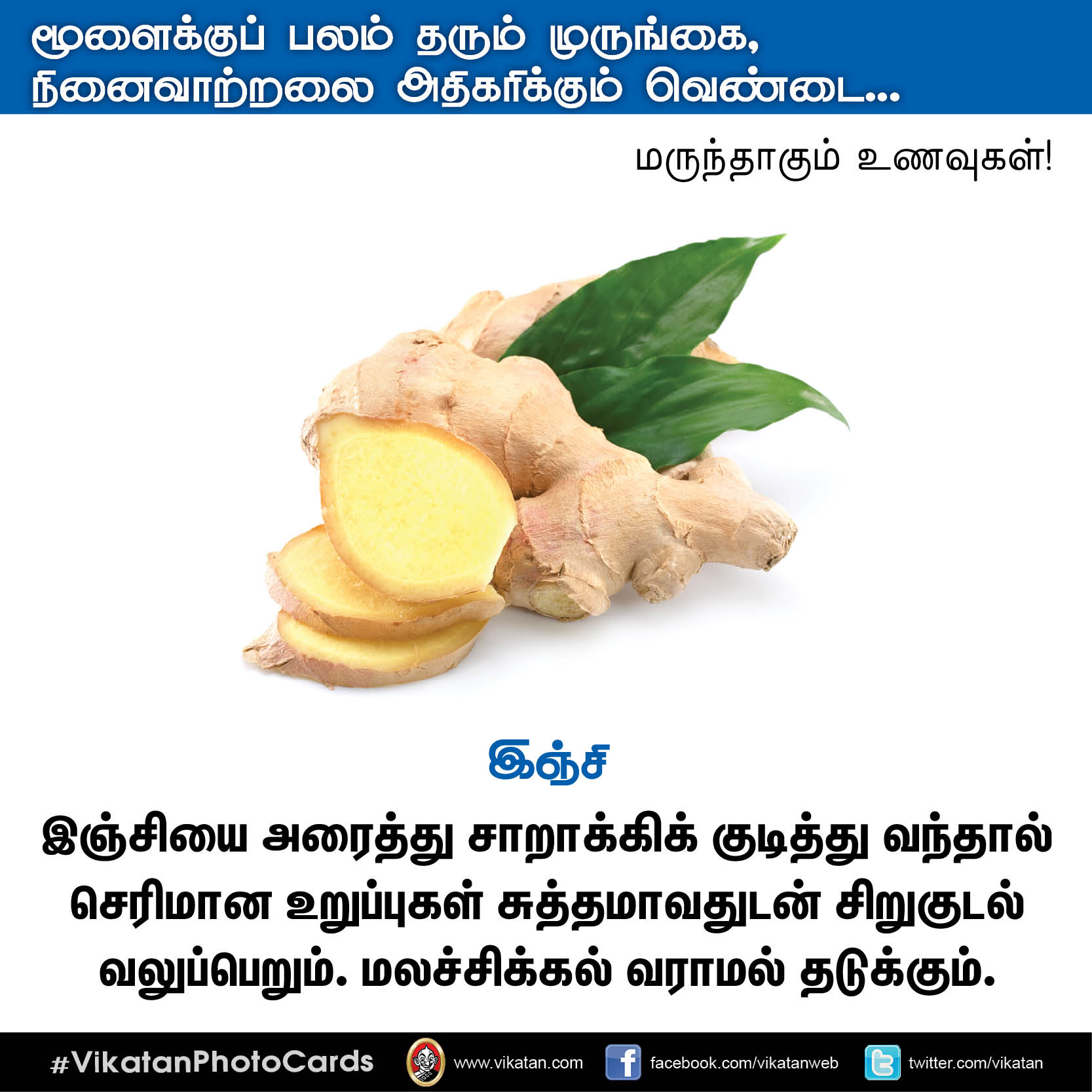 பசியின்மை போக்கும் கத்திரி, நினைவாற்றல் அதிகரிக்கும் வெண்டை... மருந்தாகும் காய்கறிகள்! #VikatanPhotoCards பசியின்மை போக்கும் கத்திரி, நினைவாற்றல் அதிகரிக்கும் வெண்டை... மருந்தாகும் காய்கறிகள்! #VikatanPhotoCards