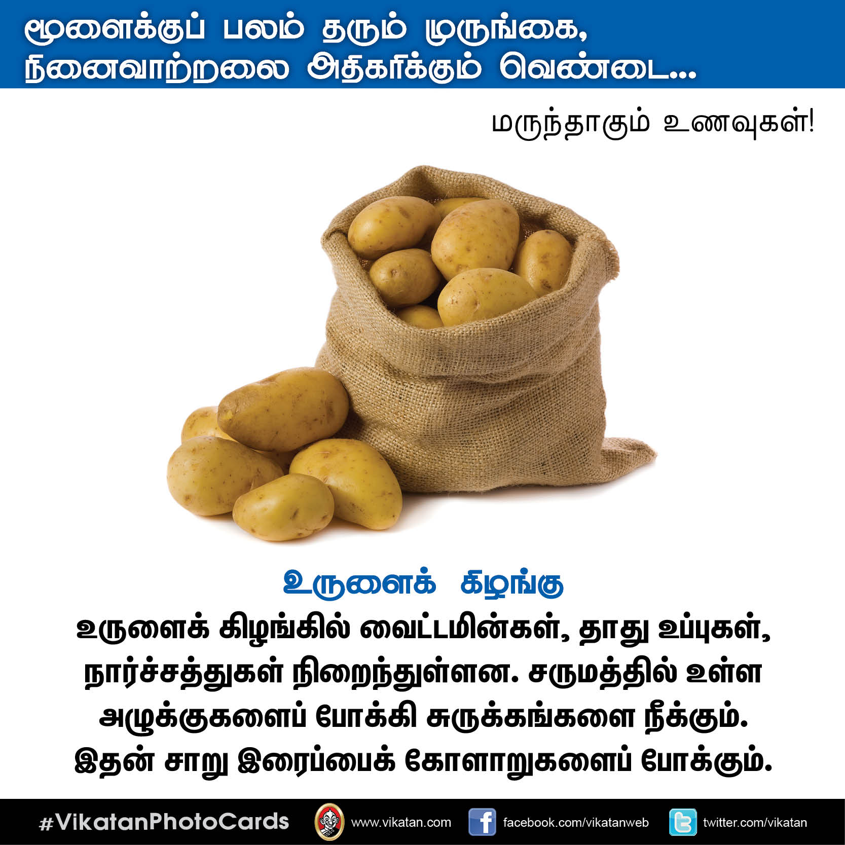 பசியின்மை போக்கும் கத்திரி, நினைவாற்றல் அதிகரிக்கும் வெண்டை... மருந்தாகும் காய்கறிகள்! #VikatanPhotoCards பசியின்மை போக்கும் கத்திரி, நினைவாற்றல் அதிகரிக்கும் வெண்டை... மருந்தாகும் காய்கறிகள்! #VikatanPhotoCards
