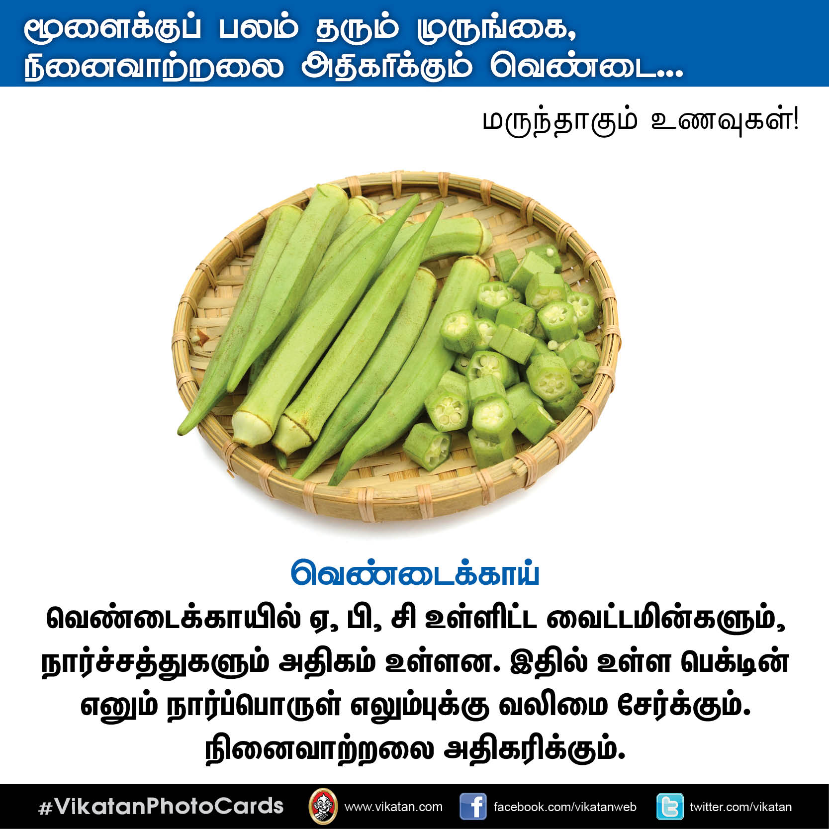 பசியின்மை போக்கும் கத்திரி, நினைவாற்றல் அதிகரிக்கும் வெண்டை... மருந்தாகும் காய்கறிகள்! #VikatanPhotoCards பசியின்மை போக்கும் கத்திரி, நினைவாற்றல் அதிகரிக்கும் வெண்டை... மருந்தாகும் காய்கறிகள்! #VikatanPhotoCards