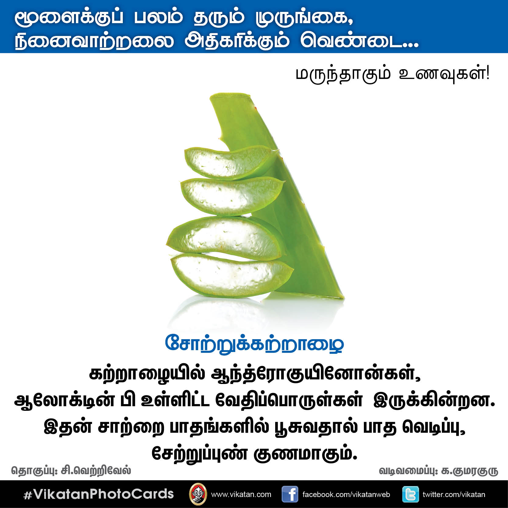 பசியின்மை போக்கும் கத்திரி, நினைவாற்றல் அதிகரிக்கும் வெண்டை... மருந்தாகும் காய்கறிகள்! #VikatanPhotoCards பசியின்மை போக்கும் கத்திரி, நினைவாற்றல் அதிகரிக்கும் வெண்டை... மருந்தாகும் காய்கறிகள்! #VikatanPhotoCards