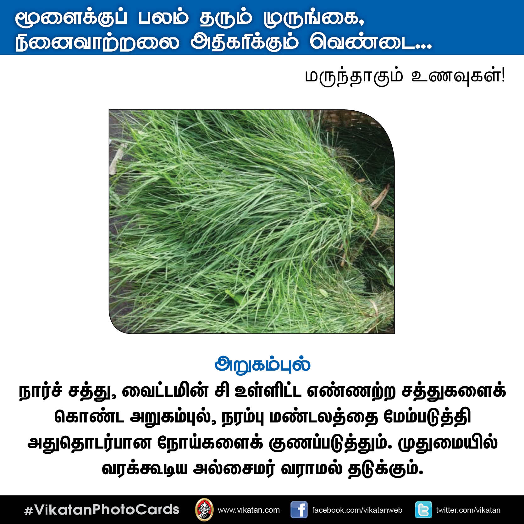 பசியின்மை போக்கும் கத்திரி, நினைவாற்றல் அதிகரிக்கும் வெண்டை... மருந்தாகும் காய்கறிகள்! #VikatanPhotoCards பசியின்மை போக்கும் கத்திரி, நினைவாற்றல் அதிகரிக்கும் வெண்டை... மருந்தாகும் காய்கறிகள்! #VikatanPhotoCards