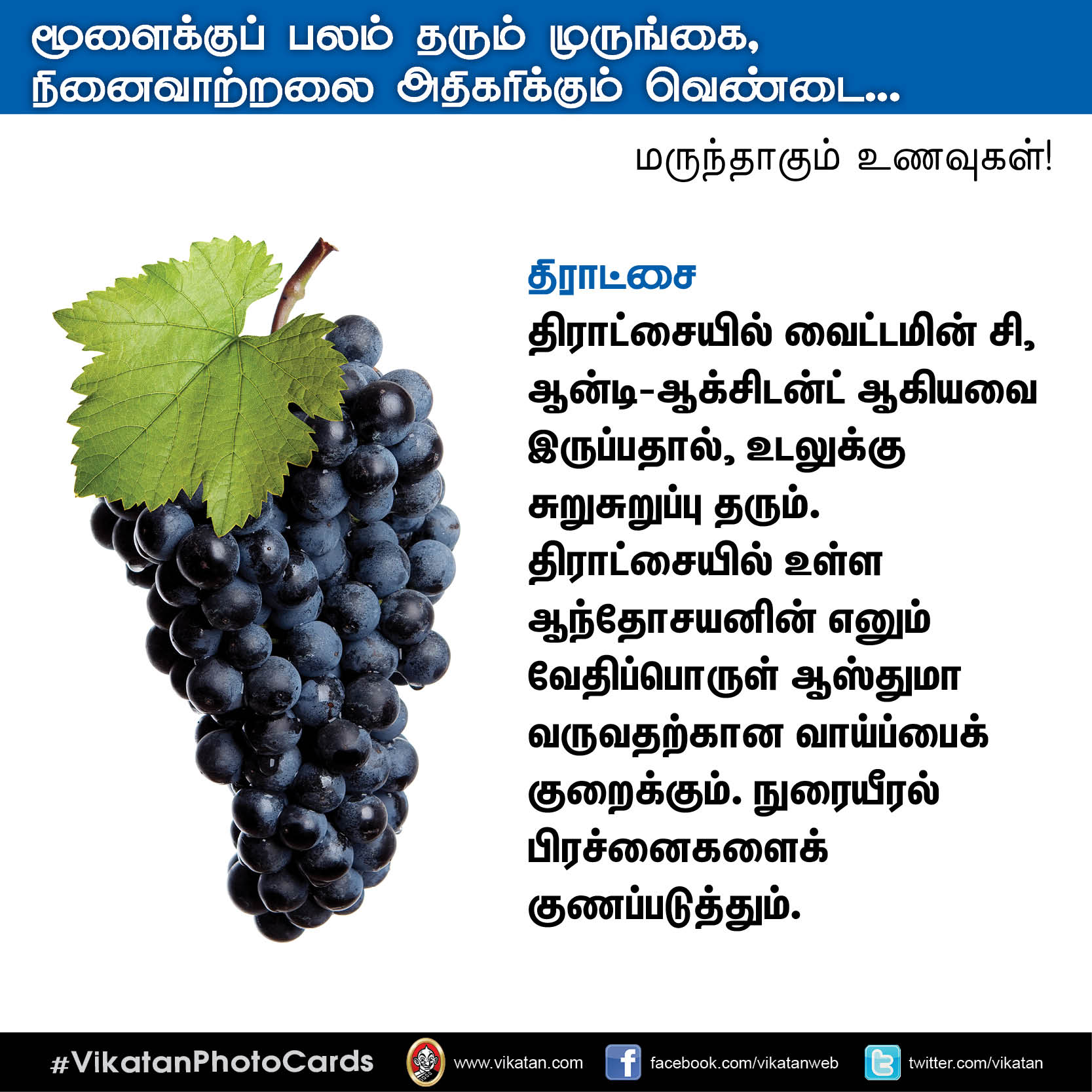 பசியின்மை போக்கும் கத்திரி, நினைவாற்றல் அதிகரிக்கும் வெண்டை... மருந்தாகும் காய்கறிகள்! #VikatanPhotoCards பசியின்மை போக்கும் கத்திரி, நினைவாற்றல் அதிகரிக்கும் வெண்டை... மருந்தாகும் காய்கறிகள்! #VikatanPhotoCards