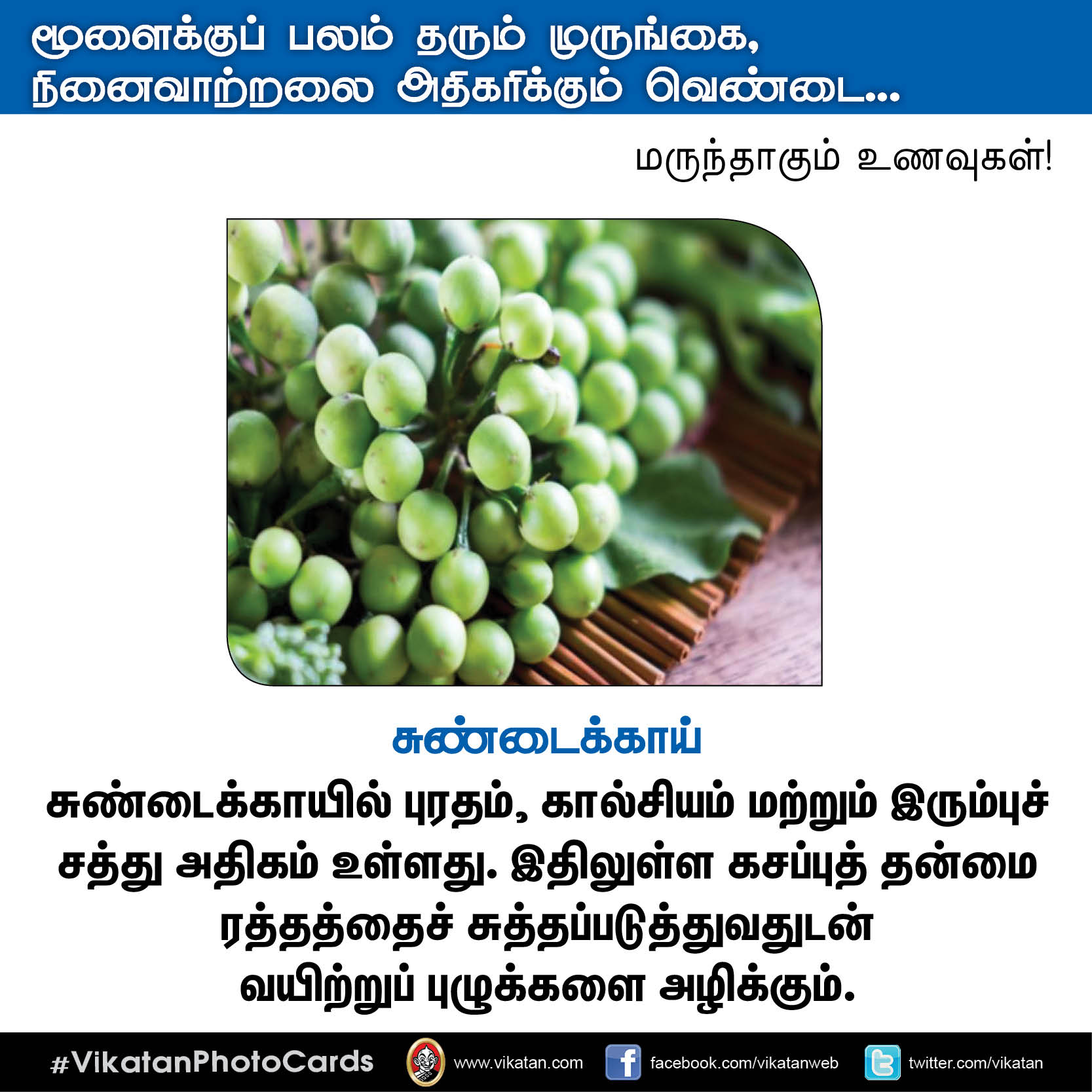 பசியின்மை போக்கும் கத்திரி, நினைவாற்றல் அதிகரிக்கும் வெண்டை... மருந்தாகும் காய்கறிகள்! #VikatanPhotoCards பசியின்மை போக்கும் கத்திரி, நினைவாற்றல் அதிகரிக்கும் வெண்டை... மருந்தாகும் காய்கறிகள்! #VikatanPhotoCards