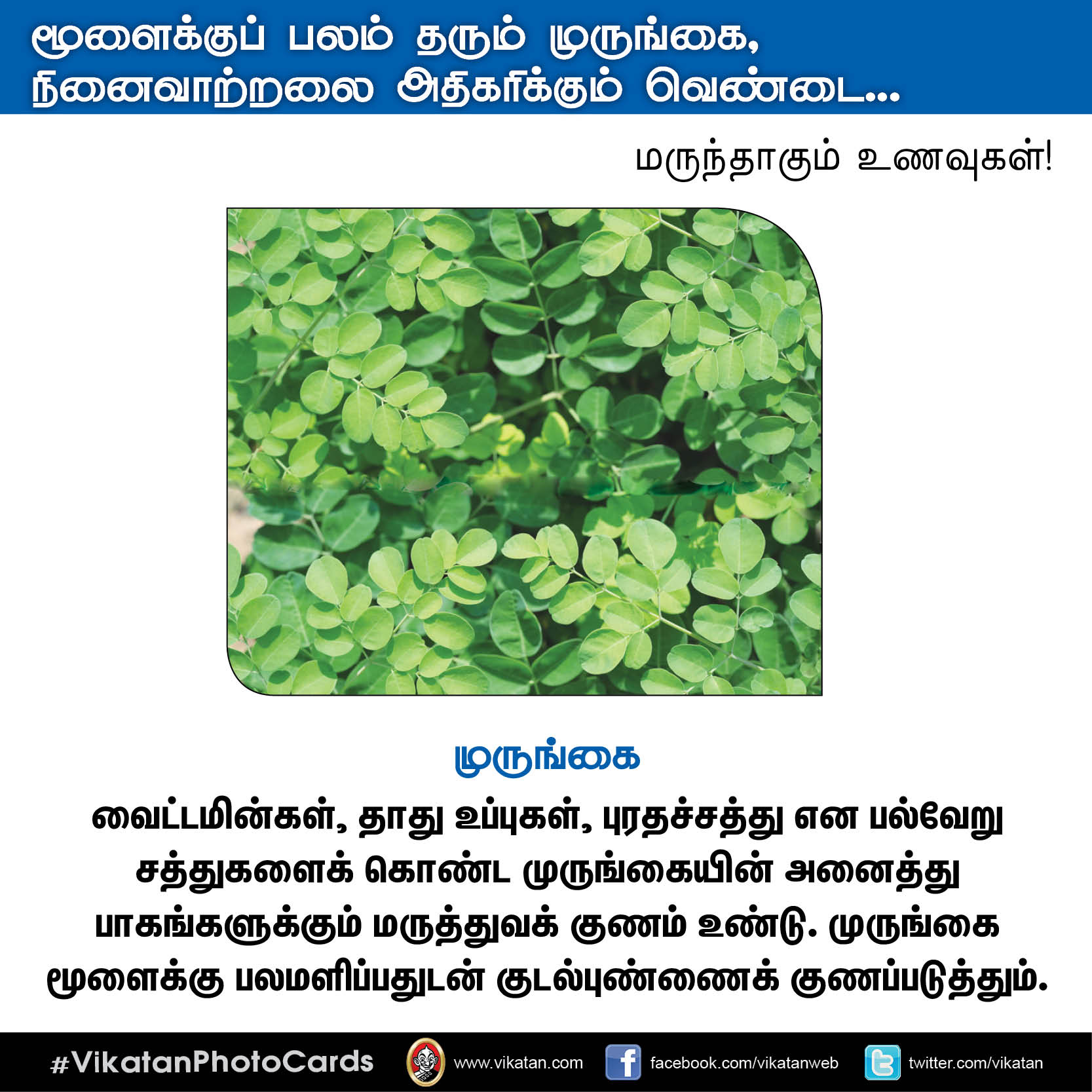 பசியின்மை போக்கும் கத்திரி, நினைவாற்றல் அதிகரிக்கும் வெண்டை... மருந்தாகும் காய்கறிகள்! #VikatanPhotoCards பசியின்மை போக்கும் கத்திரி, நினைவாற்றல் அதிகரிக்கும் வெண்டை... மருந்தாகும் காய்கறிகள்! #VikatanPhotoCards