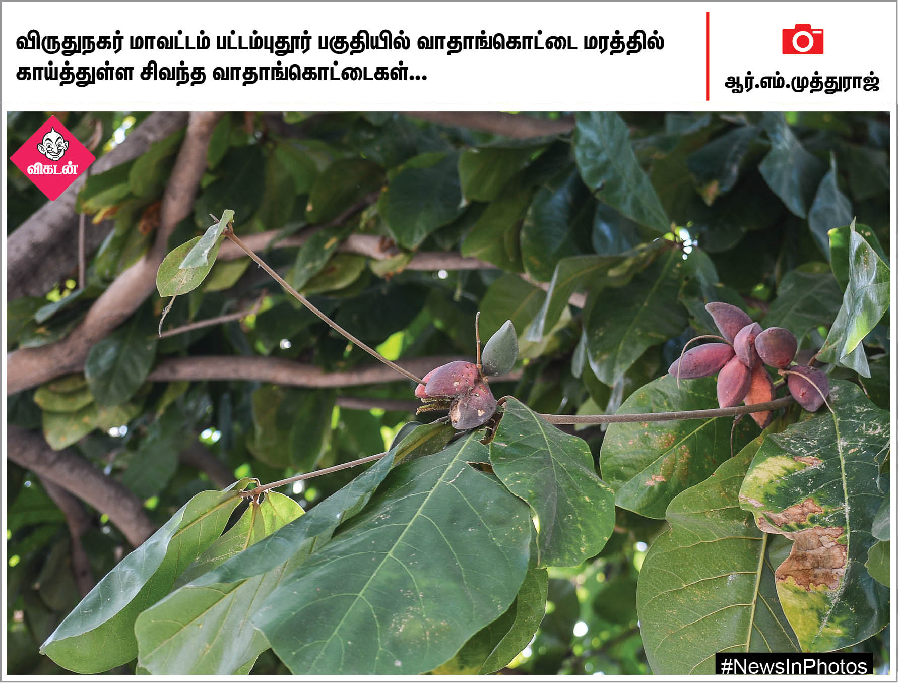 வாள்சண்டையில் தங்கம் வென்ற நெல்லை மாணவி... பொதுமக்களுடன் கைகுலுக்கும் பிருந்தாகாரத்... #NewsInPhotos வாள்சண்டையில் தங்கம் வென்ற நெல்லை மாணவி... பொதுமக்களுடன் கைகுலுக்கும் பிருந்தாகாரத்... #NewsInPhotos