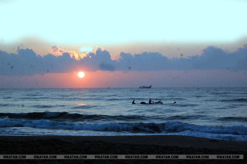 விழுப்புரம், கோனேரிக்குப்பம் பகுதிகளில் ஆமை முட்டைகள் பாதுகாக்கப்பட்டு குஞ்சு பொரித்தவுடன் கடலில் விடப்படும் நிகழ்வு விழுப்புரம், கோனேரிக்குப்பம் பகுதிகளில் ஆமை முட்டைகள் பாதுகாக்கப்பட்டு குஞ்சு பொரித்தவுடன் கடலில் விடப்படும் நிகழ்வு